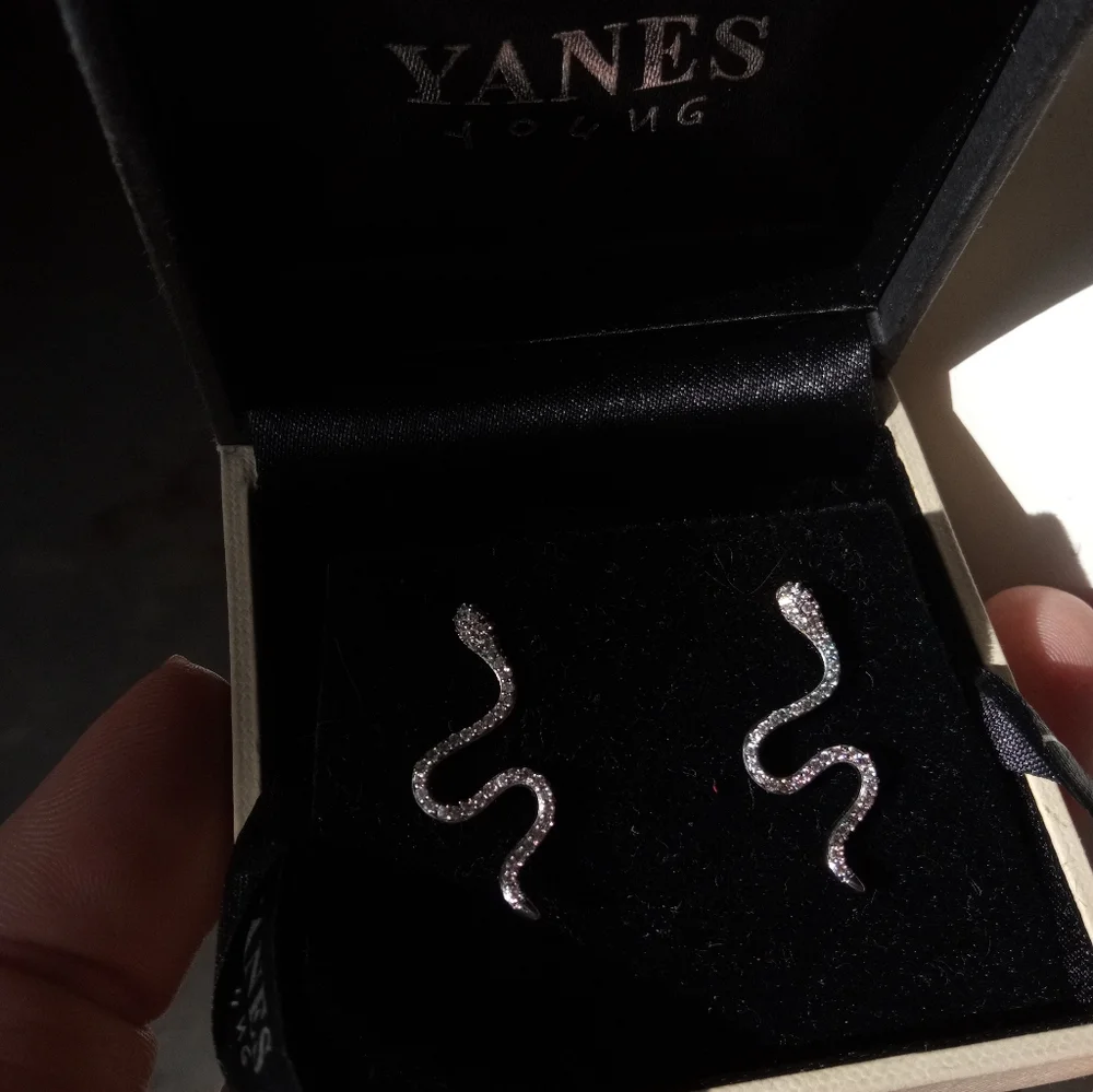 Elegant Silver Plated Cubic Zirconia Snake Earrings - Picture 12 of 14
